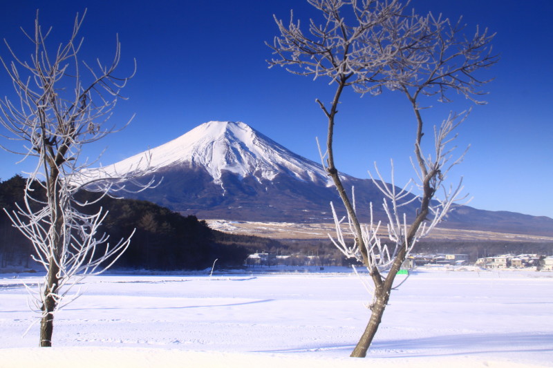 富士山画像記録