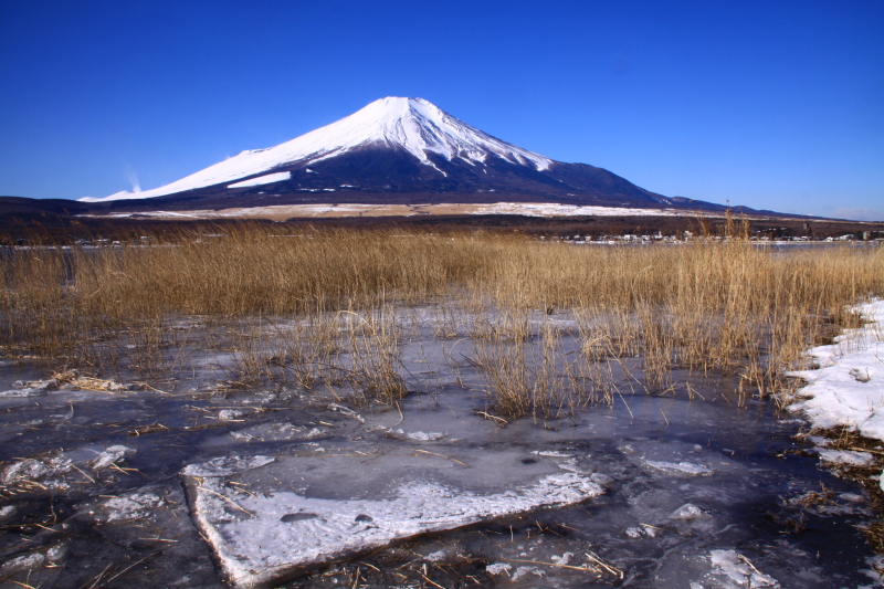 富士山画像記録