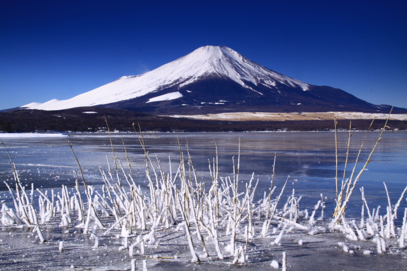 富士山画像記録