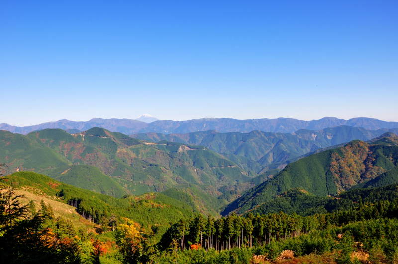 富士山画像記録