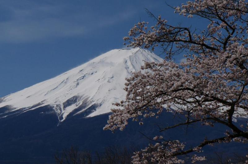 富士山画像作品