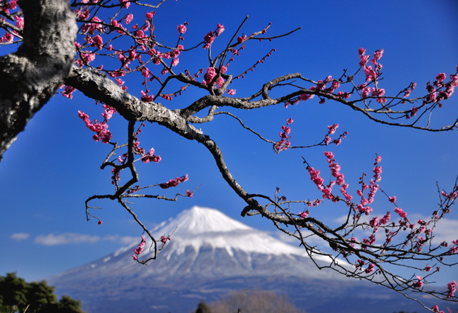 富士山画像作品