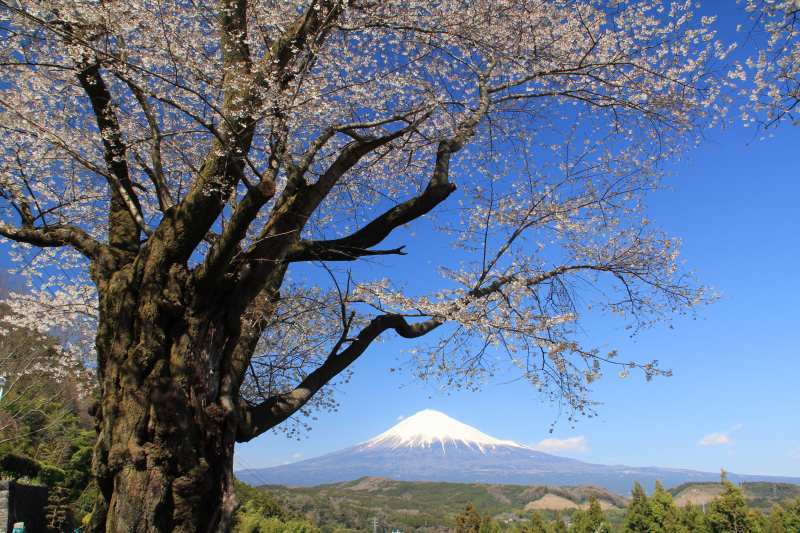 富士山画像記録