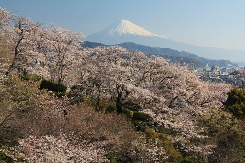 富士山画像記録