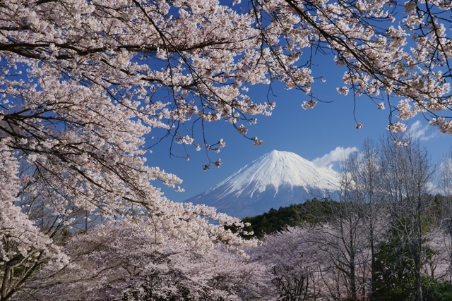 富士山画像作品