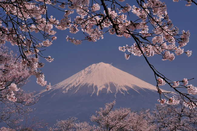 富士山画像作品