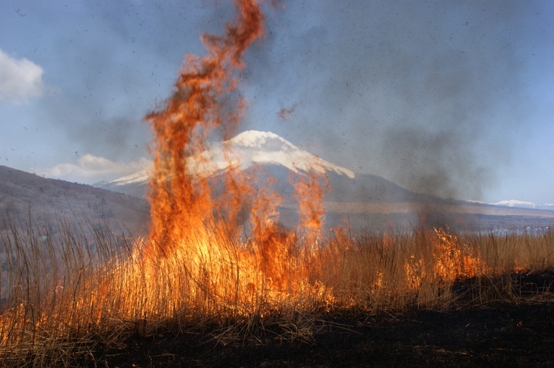 富士山画像記録