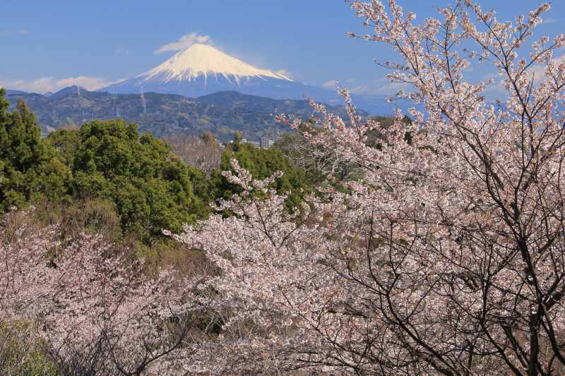 富士山画像記録