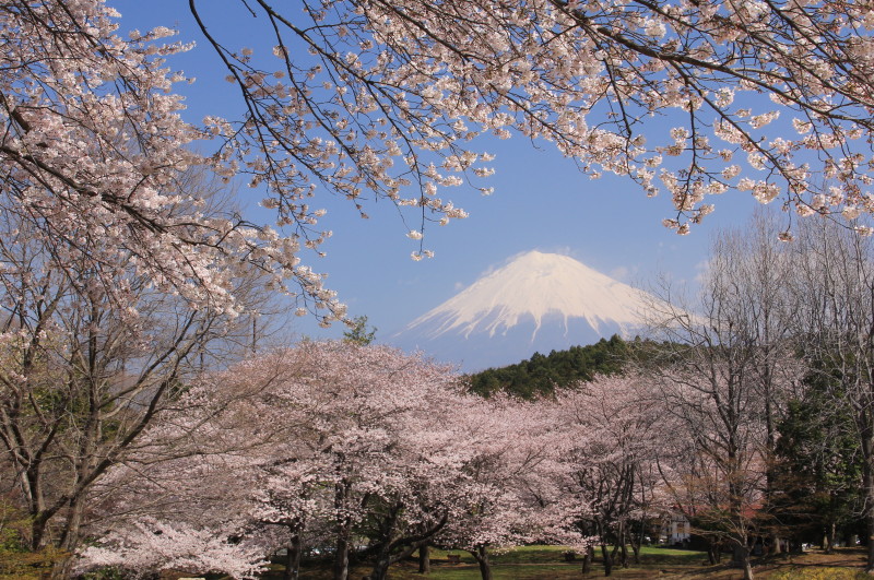 富士山画像記録