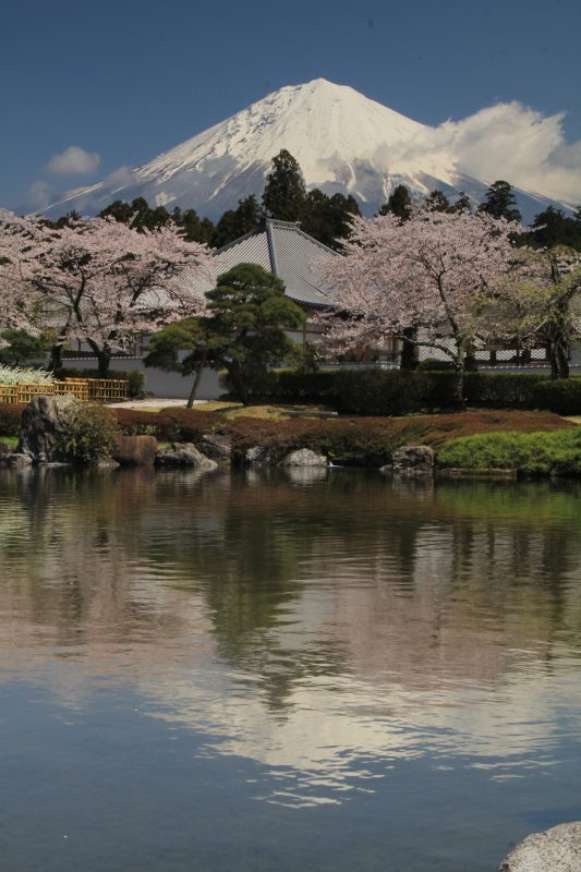 富士山画像記録