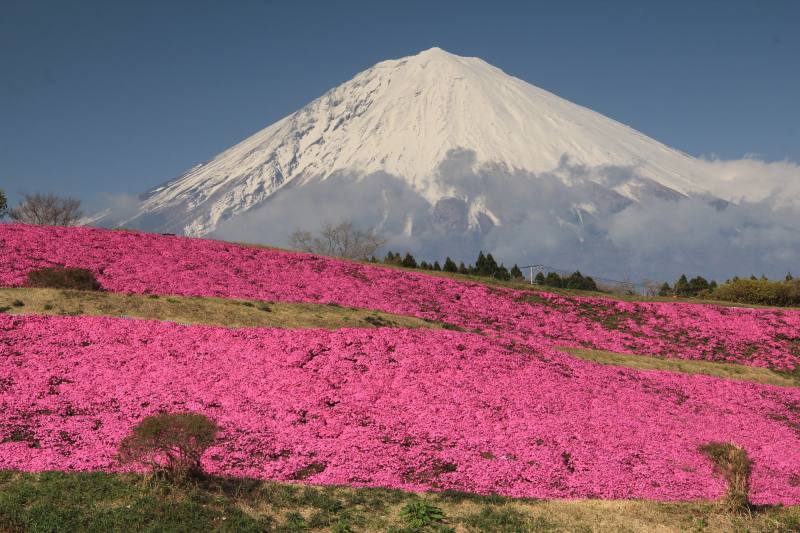 富士山画像記録