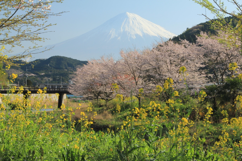 富士山画像記録