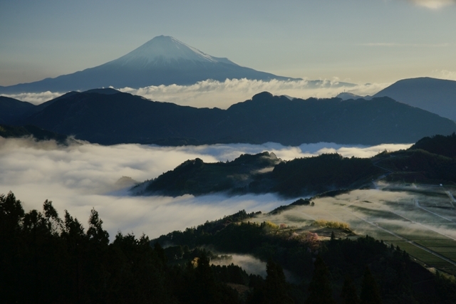 富士山画像作品