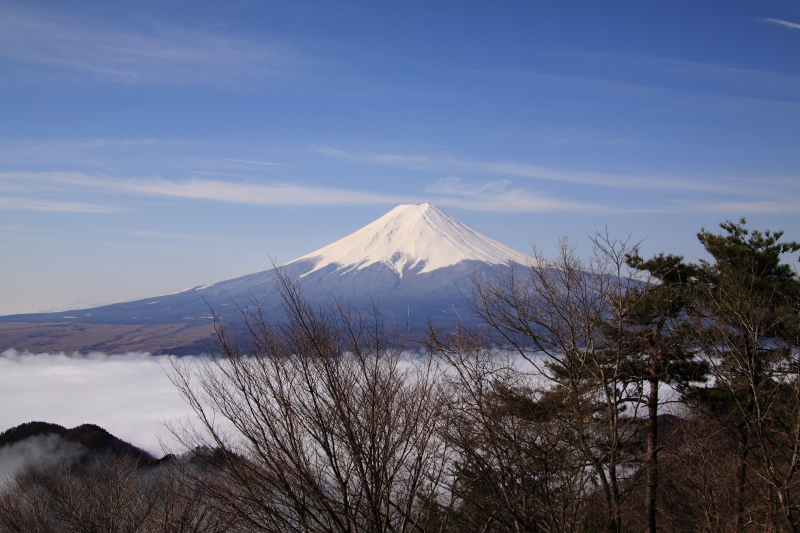 富士山画像記録