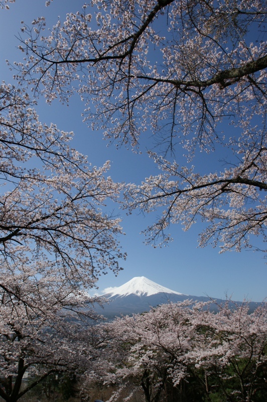 富士山画像記録