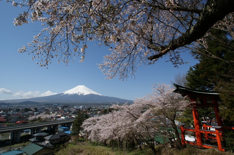 富士山画像記録