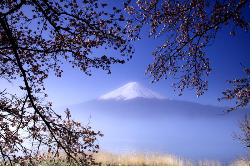 富士山画像記録