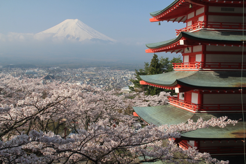 富士山画像記録