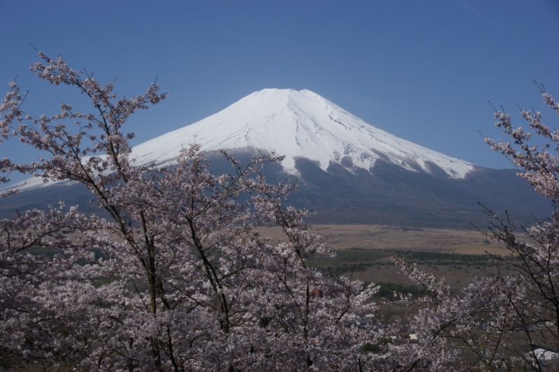 富士山画像記録