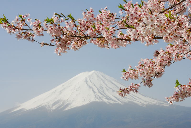 富士山画像記録