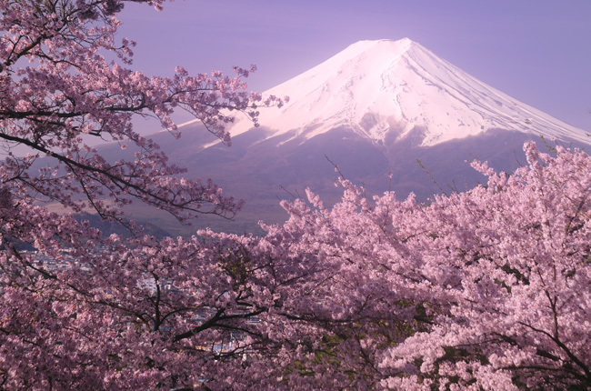 富士山画像作品