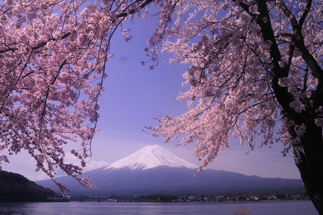 富士山画像作品