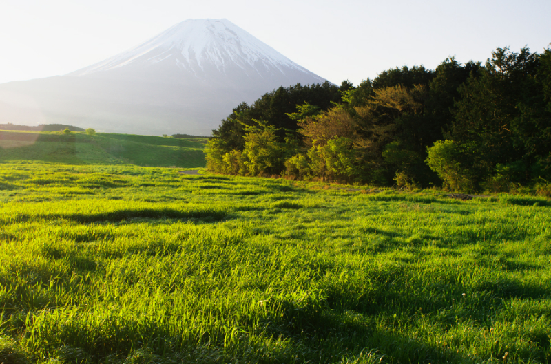 富士山画像作品