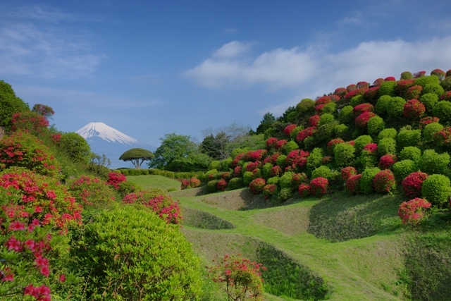 富士山画像作品