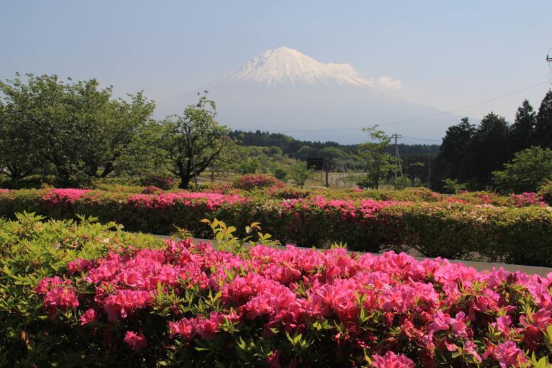 富士山画像記録