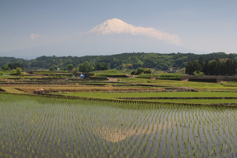 富士山画像記録