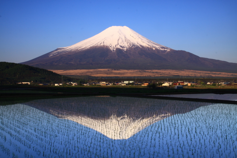 富士山画像記録