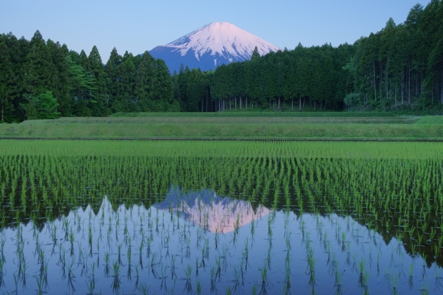 富士山画像作品