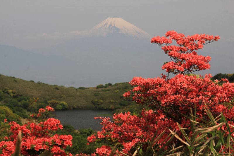 富士山画像記録