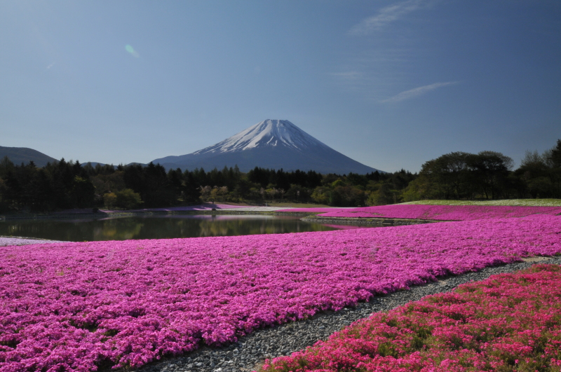 富士山画像記録