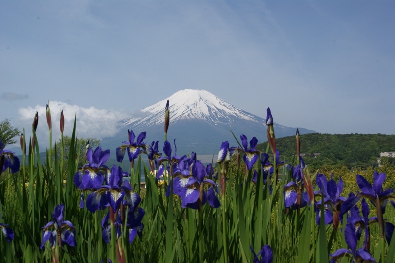 富士山画像記録