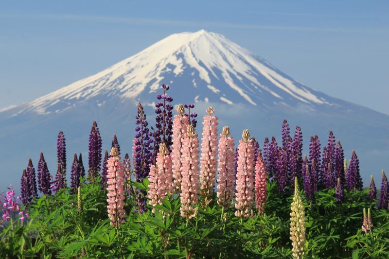 富士山画像記録