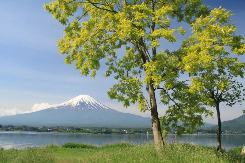 富士山画像記録