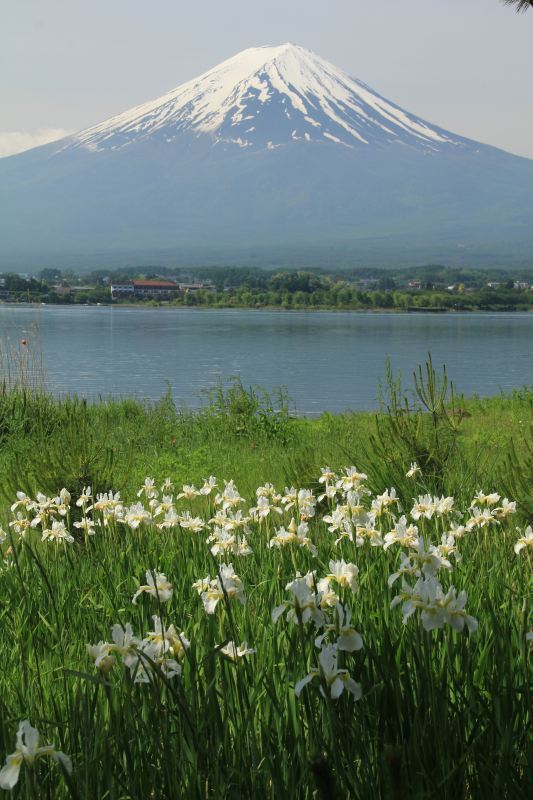 富士山画像記録