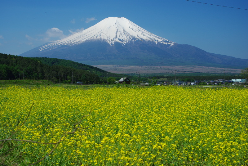 富士山画像作品