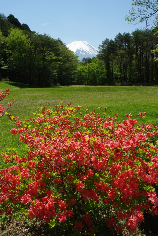 富士山画像作品