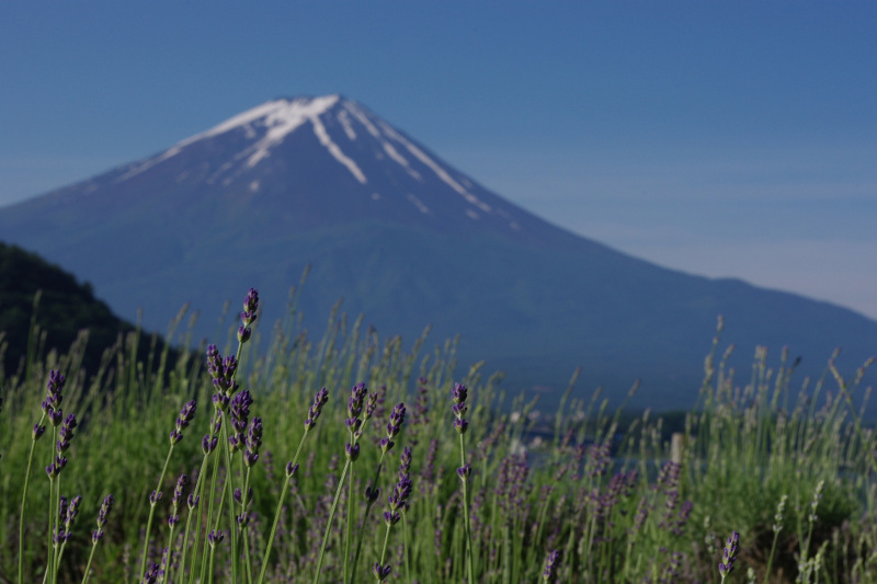 富士山画像作品