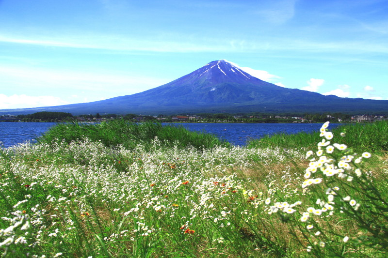 富士山画像記録