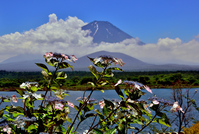 富士山画像作品