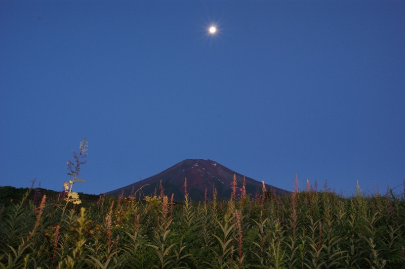 富士山画像記録