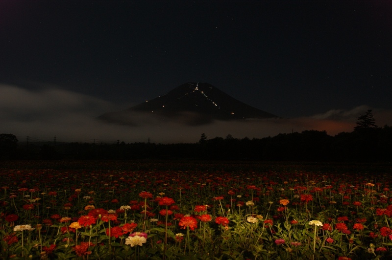 富士山画像記録