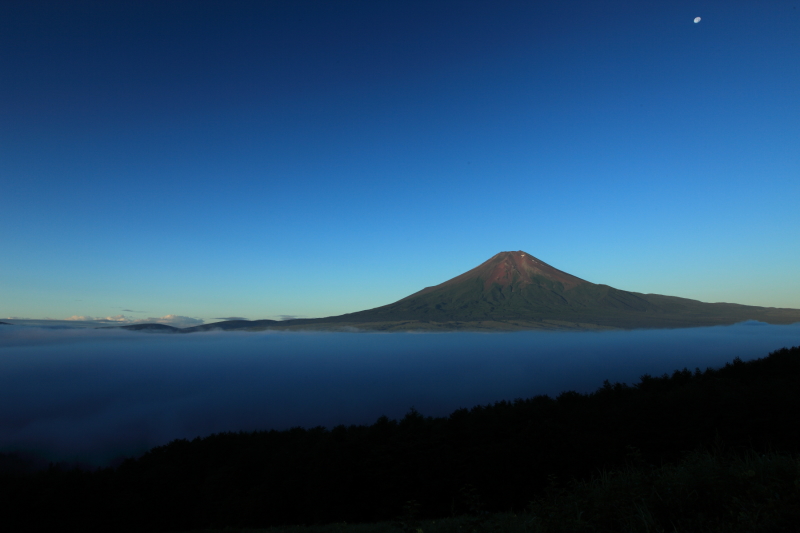 富士山画像作品