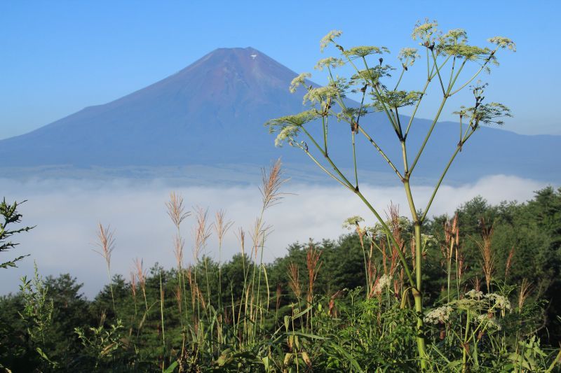 富士山画像記録