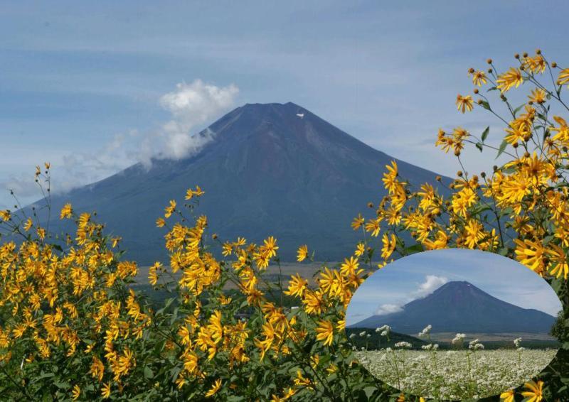 富士山画像記録