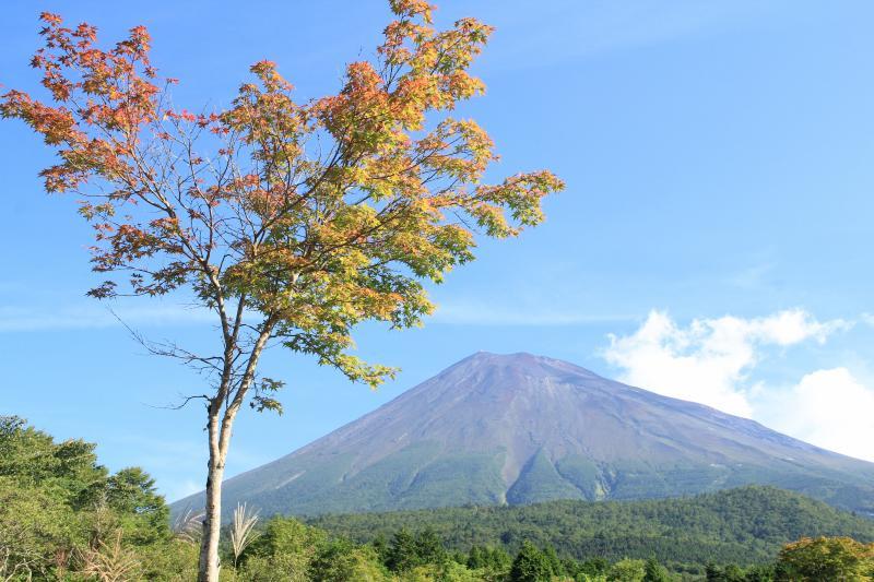 富士山画像記録