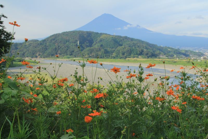 富士山画像記録